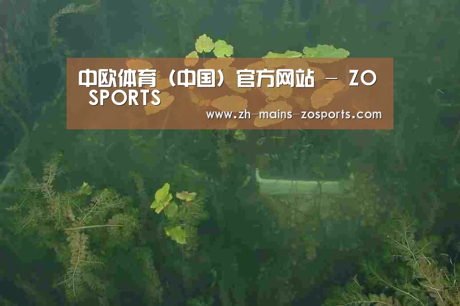 案例展示三