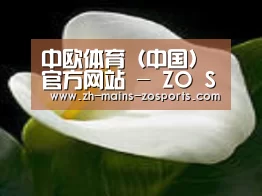 产品名称七