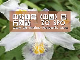 产品名称二