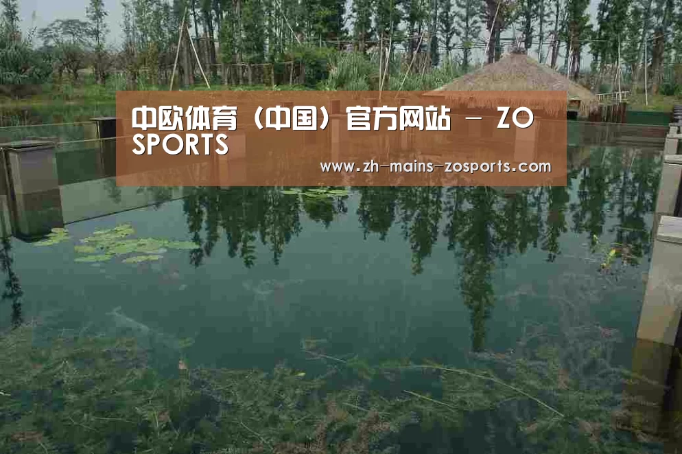 案例展示二