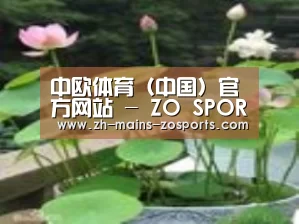 产品名称一