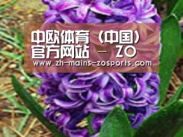 产品名称八