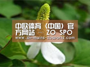 产品名称三