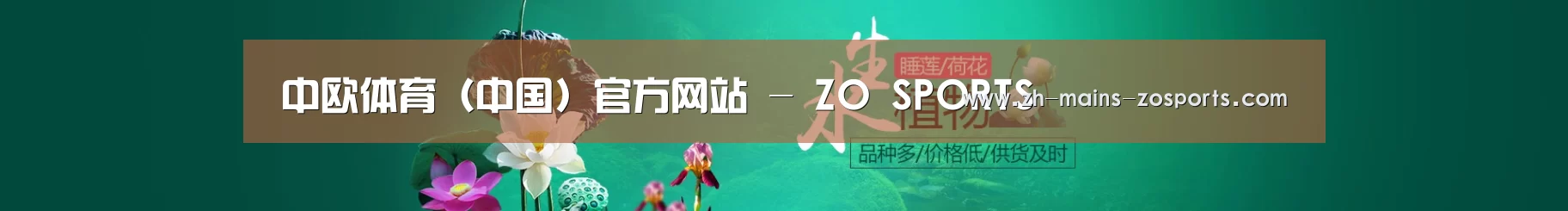 鲜花水草花卉网站模板