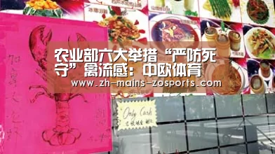 中欧体育平台