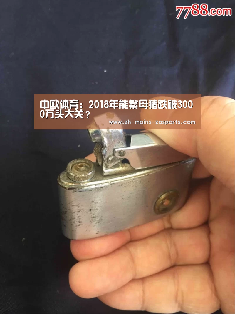 中欧体育:2018年能繁母猪跌破3000万头大关?(图3) 中欧体育