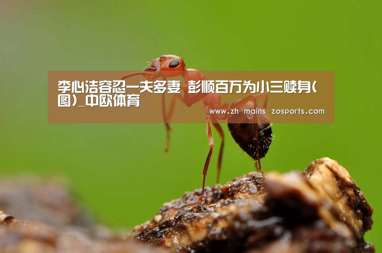 李心洁容忍一夫多妻 彭顺百万为小三赎身(图)_中欧体育(图1) 中欧体育官网