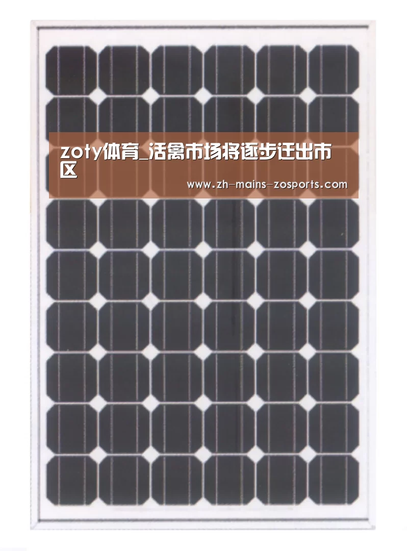zoty体育_活禽市场将逐步迁出市区(图3) 中欧体育平台