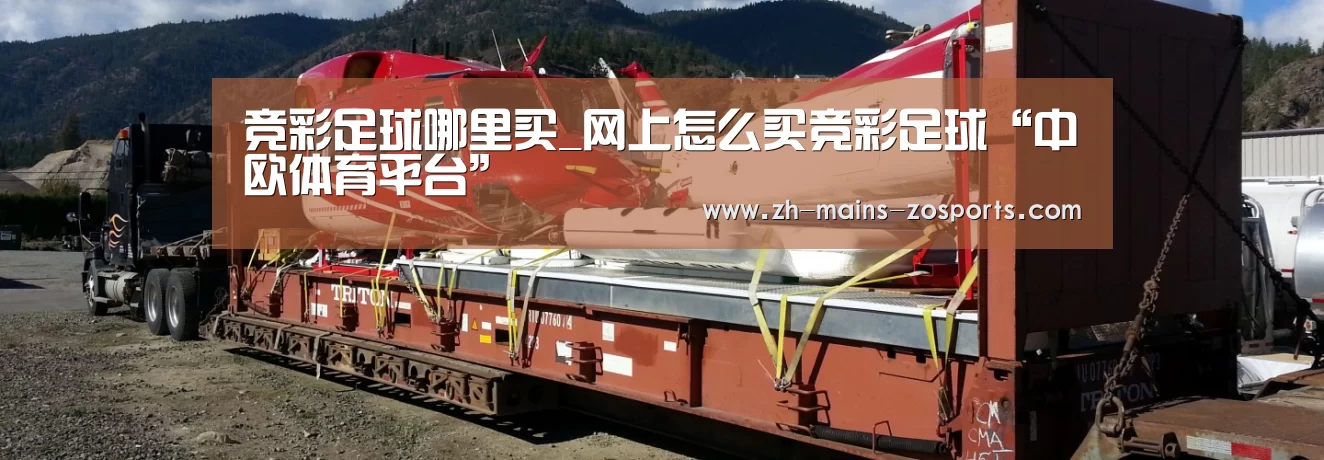 竞彩足球哪里买_网上怎么买竞彩足球“中欧体育平台”(图1) 中欧体育平台