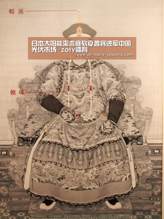 日本太阳能需求疲软夏普将进军中国光伏市场-zoty体育(图1) 中欧体育官网