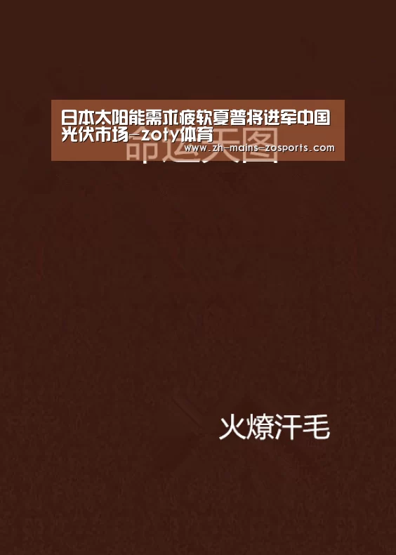 日本太阳能需求疲软夏普将进军中国光伏市场-zoty体育(图3) 中欧体育官网