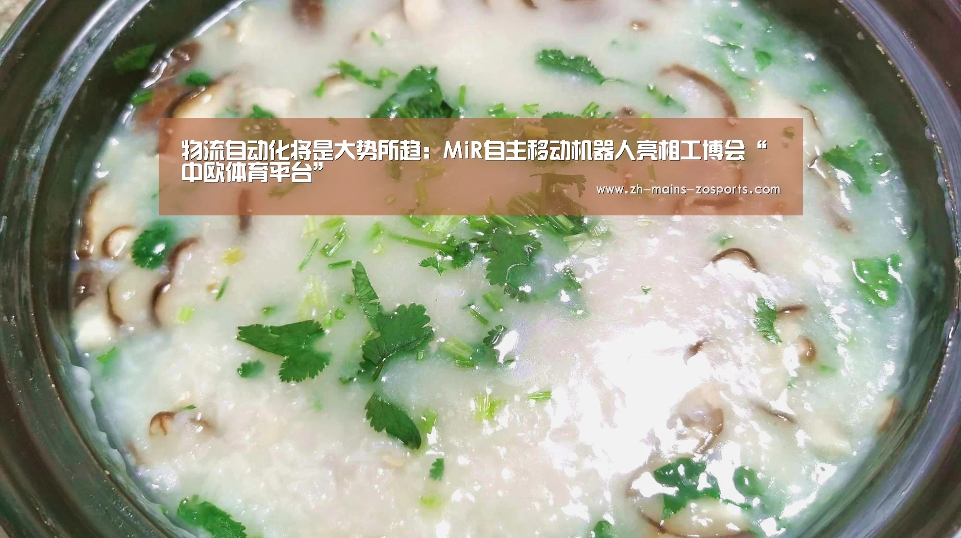 物流自动化将是大势所趋:MiR自主移动机器人亮相工博会“中欧体育平台”(图2) zoty体育