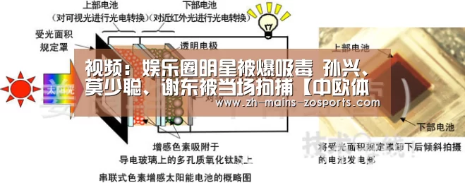 视频:娱乐圈明星被爆吸毒 孙兴、莫少聪、谢东被当场拘捕【中欧体育】(图2) zoty体育