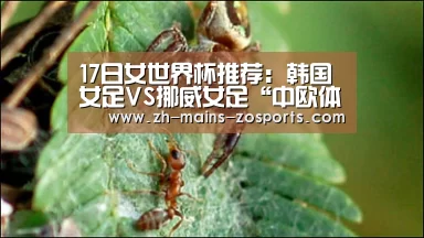 zoty体育